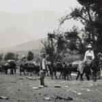 Jenny te paard bij vertrek eerste expeditie uit Srinagar - 1922